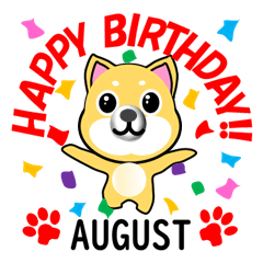 柴犬の誕生日おめでとう 8月